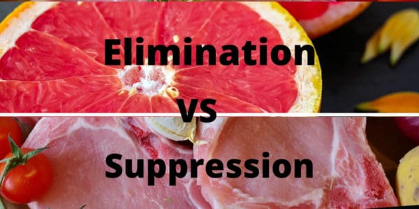 Foods and Detoxification